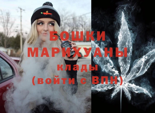 гидра Алексеевка