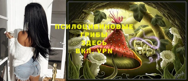 гидра Алексеевка