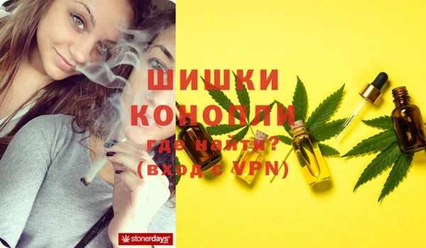 гидра Алексеевка