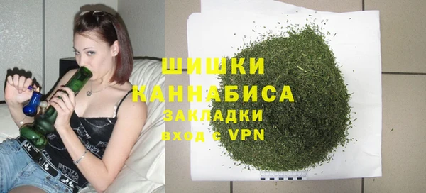 гидра Алексеевка