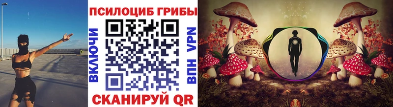 Псилоцибиновые грибы Magic Shrooms Борзя