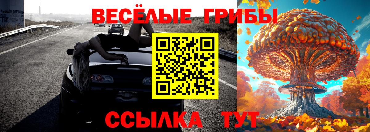 Псилоцибиновые грибы мицелий Борзя