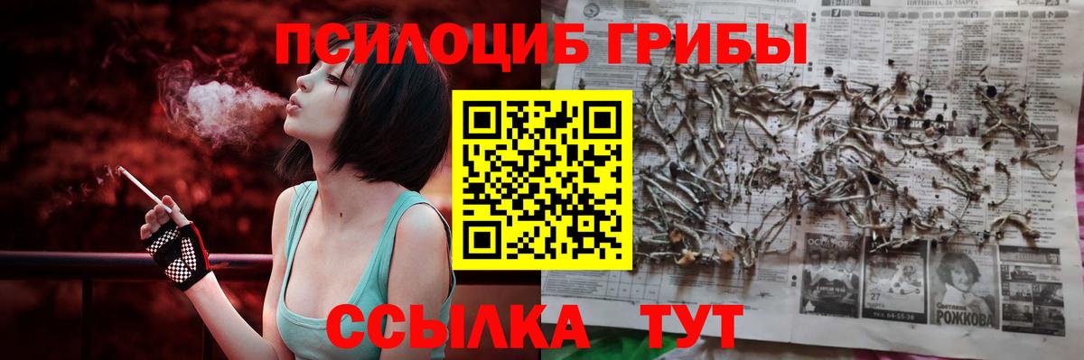 Псилоцибиновые грибы MAGIC MUSHROOMS  Вход с VPN  Борзя 