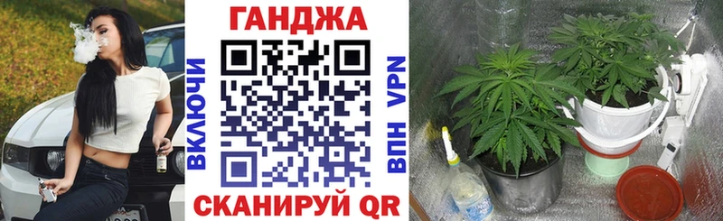 Канабис MAZAR  как найти закладки  Борзя 